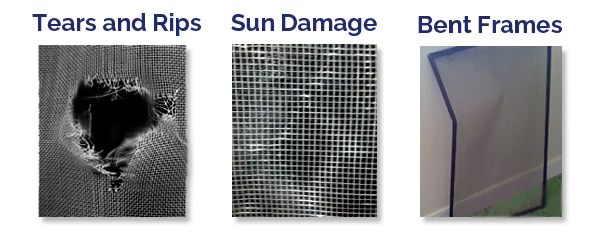 Damaged window screens